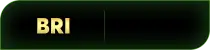BRI
